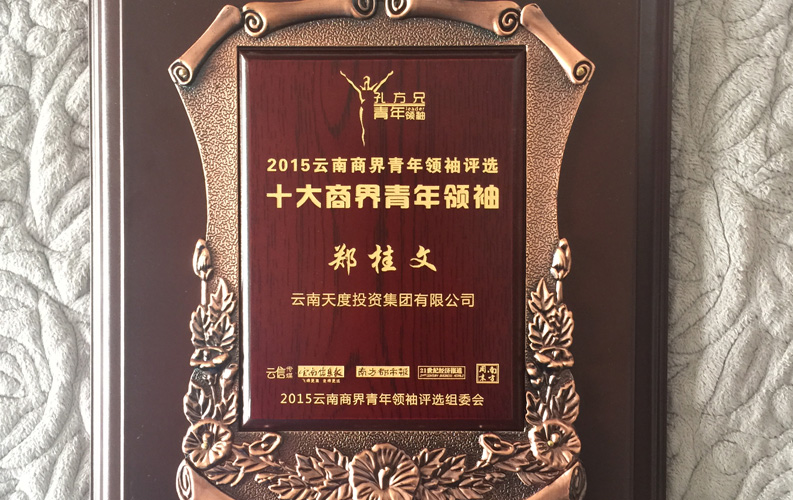 在“互聯網大時代”的背景下，天度作為本土很大和很有名的互聯網服務企業，為近萬家傳統企業轉型互聯網+提供了服務和幫助，獲此獎項后，我們將再接再厲，創造更高的社會價值